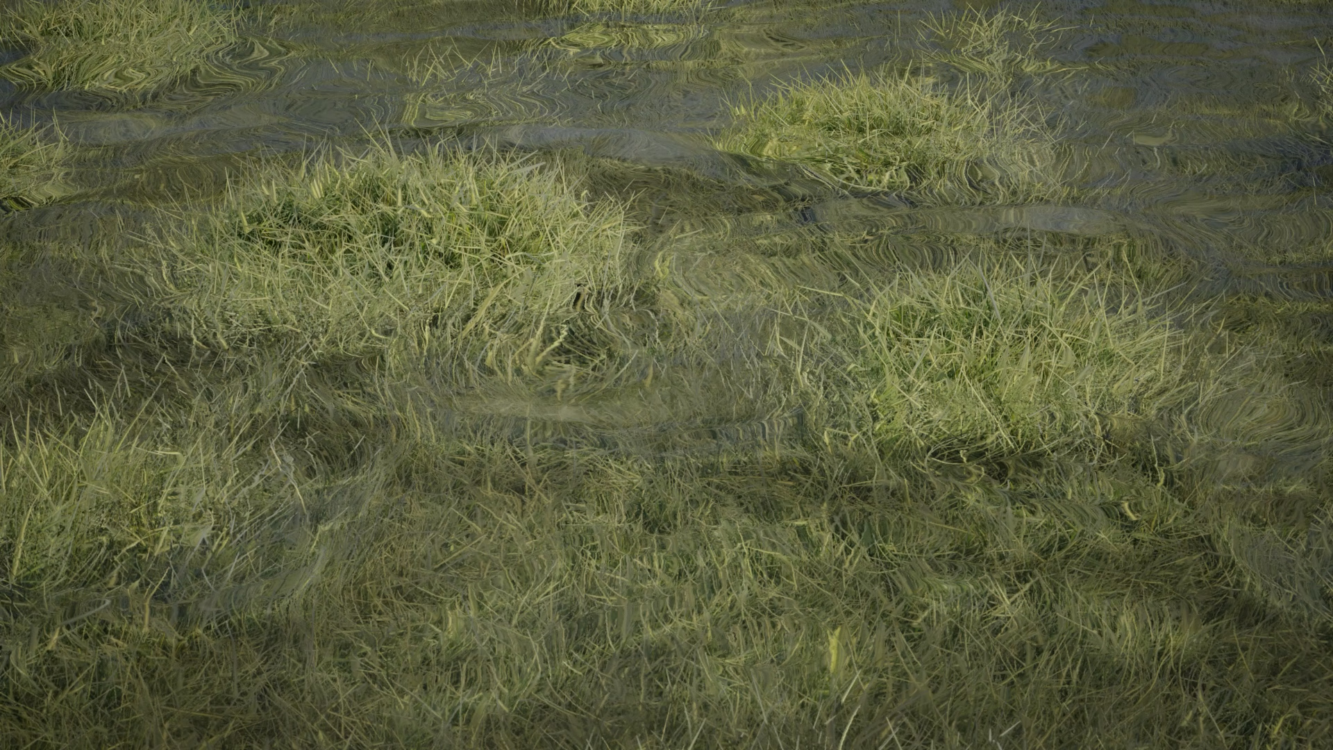 Grass responding to environmental forces in Weathering the Surface